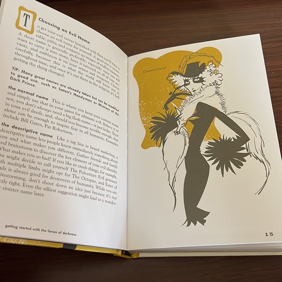 ✨3/$25✨ “How To Be A Villain” Handbook - Picture 10 of 10